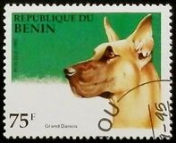 [Dogs, loại QC]