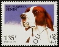 [Dogs, loại QE]