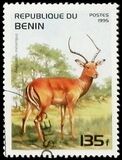 [Mammals, type QR]