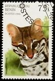 [Wild Cats, type TF]
