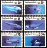 [Marine Mammals, type VH]