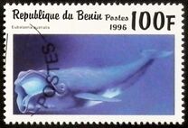 [Marine Mammals, type VK]