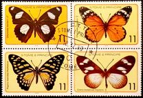 [Butterflies, Typ FS]