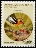 [Birds and their Young, type QL]