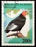 [Birds, Tipe US]
