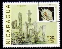 [Airmail - Cacti, tip BXG]