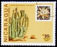 [Airmail - Cacti, tip BXH]