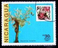 [Airmail - Cacti, tip BXI]