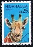 [Airmail - Protected Animals, type BTU]
