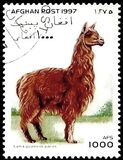 [Llamas & Camels, type ANL]