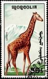 [African Wildlife, tip CCO]
