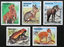 [Airmail - Wild Animals, type DVD]