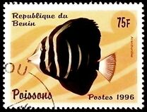 [Fish, Typ VO]