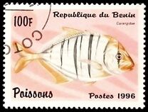 [Fish, Typ VP]