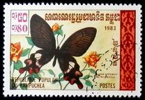 [Butterflies, סוג KH]