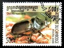 [Beetles, type BSD]