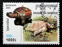 [International Stamp Exhibition "Bangkok 2000" - Bangkok, Thailand - Turtles and Tortoise, type BSM]