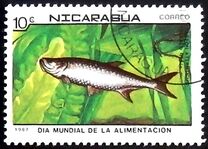 [World Food Day, type BYG]