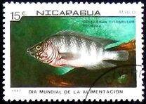 [Airmail - World Food Day, Tipo BYJ]