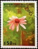 [Flowers, type AQK]