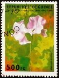 [Flowers, type AQN]