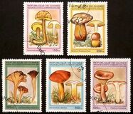 [Fungi, type ARD]