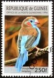 [Birds, type ARZ]