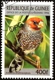 [Birds, type ASB]