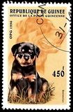 [Dogs, タイプ ASJ]