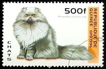 [Cats, type ASR]