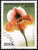 [Orchids, тып ATH]