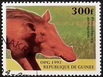 [Mammals, տեսակ ATQ]