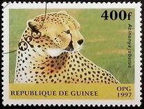 [Mammals, տեսակ ATR]