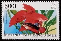[Popular Aquarium Fish, Tipe BDF]