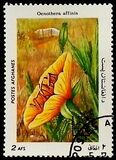 [Flora - International Stamp Exhibition ARGENTINA '85 - Buenos Aires, Argentina, տեսակ ABZ]