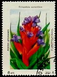 [Flora - International Stamp Exhibition ARGENTINA '85 - Buenos Aires, Argentina, տեսակ ACB]