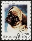 [Not Issued - Dogs, тип QQD]