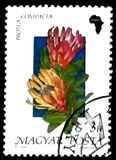 [Flowers, Вид ETW]