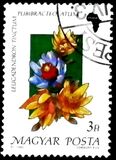 [Flowers, Вид ETX]