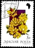 [Flowers, Вид ETY]