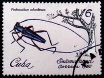[Insects, type CZL]