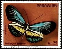 [South American Butterflies, type AXX]
