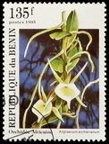 [Orchids, タイプ RL]