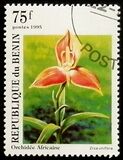 [Orchids, タイプ RJ]
