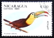 [Birds, type BCX]