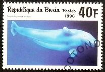 [Marine Mammals, type VH]