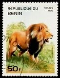 [Mammals, type QO]