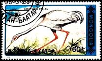 [Birds - White-naped Crane, тып BWN]
