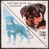 [Dogs, Tipe AVI]