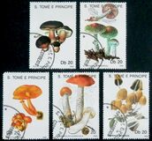 [Fungi, tyyppi AAZ]